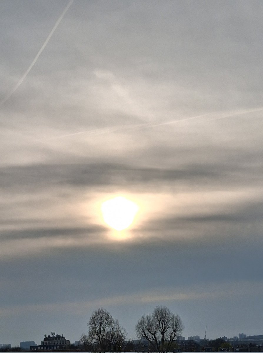 MeesterAl tweet media