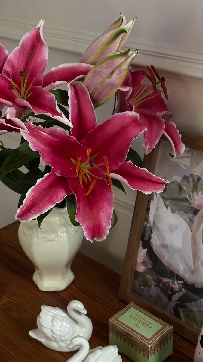 ‌ ‌‌ ‌ 𝖡𝖾𝗅𝗅𝖾 𝗌𝗐𝗂𝗋 ⋆˚𝜗𝜚˚⋆ tweet media