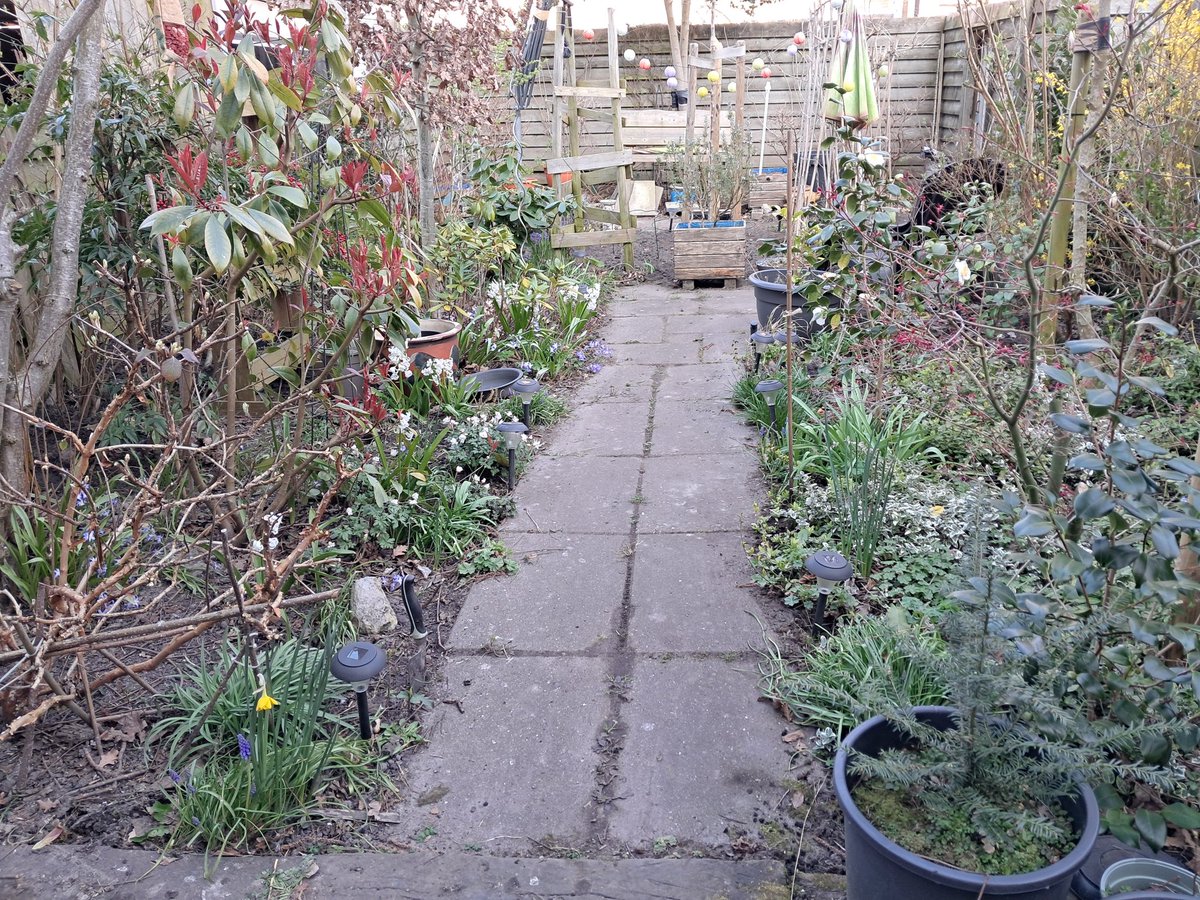 Samen werken in en genieten van de tuin. En nu? Lekker #nasigoreng eten. Mijn moeder woonde als klein meisje in Indonesië en nasi? Dat eten we graag. In ons geval zonder vlees. Wel een gebakken bio eitje erbij.