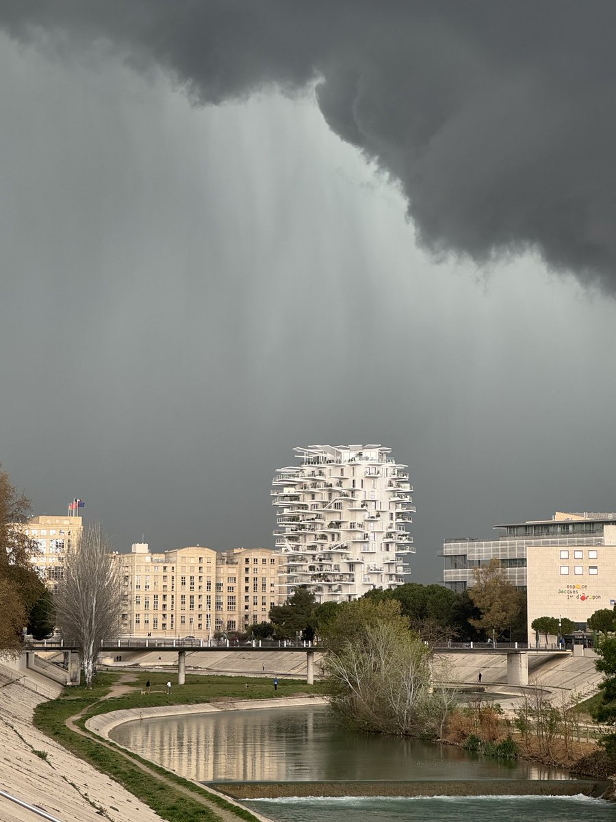 Marc FEAU Montpellier tweet media