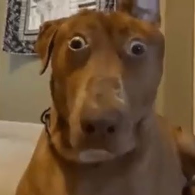 Noko🍊🐍 | Artist & Illustrator tweet media