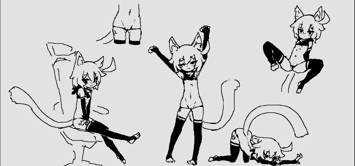 全知全能の威廉斯毕加索·黑猫🔞 tweet media