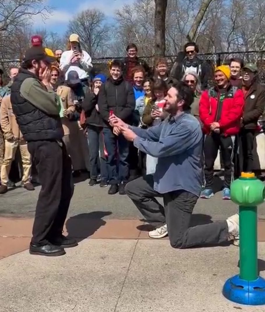 David Orkin tweet media