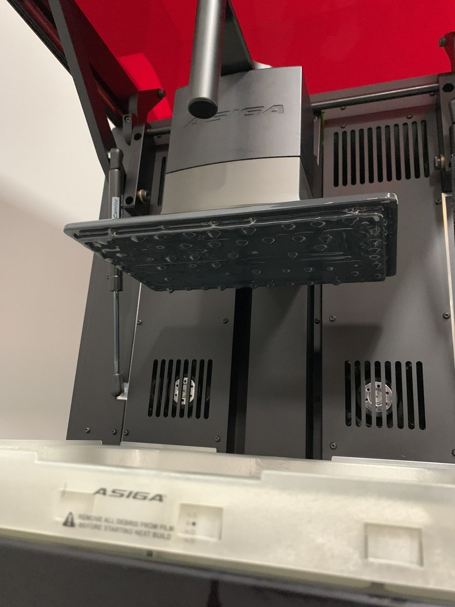 Backyhouse tweet media