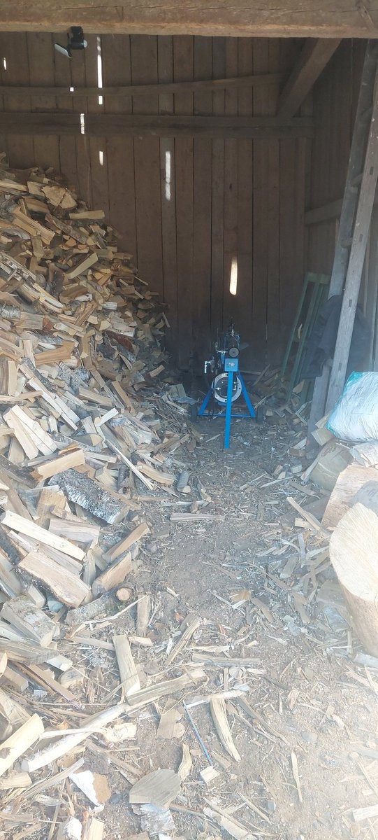 Pinus Sylvestris tweet media