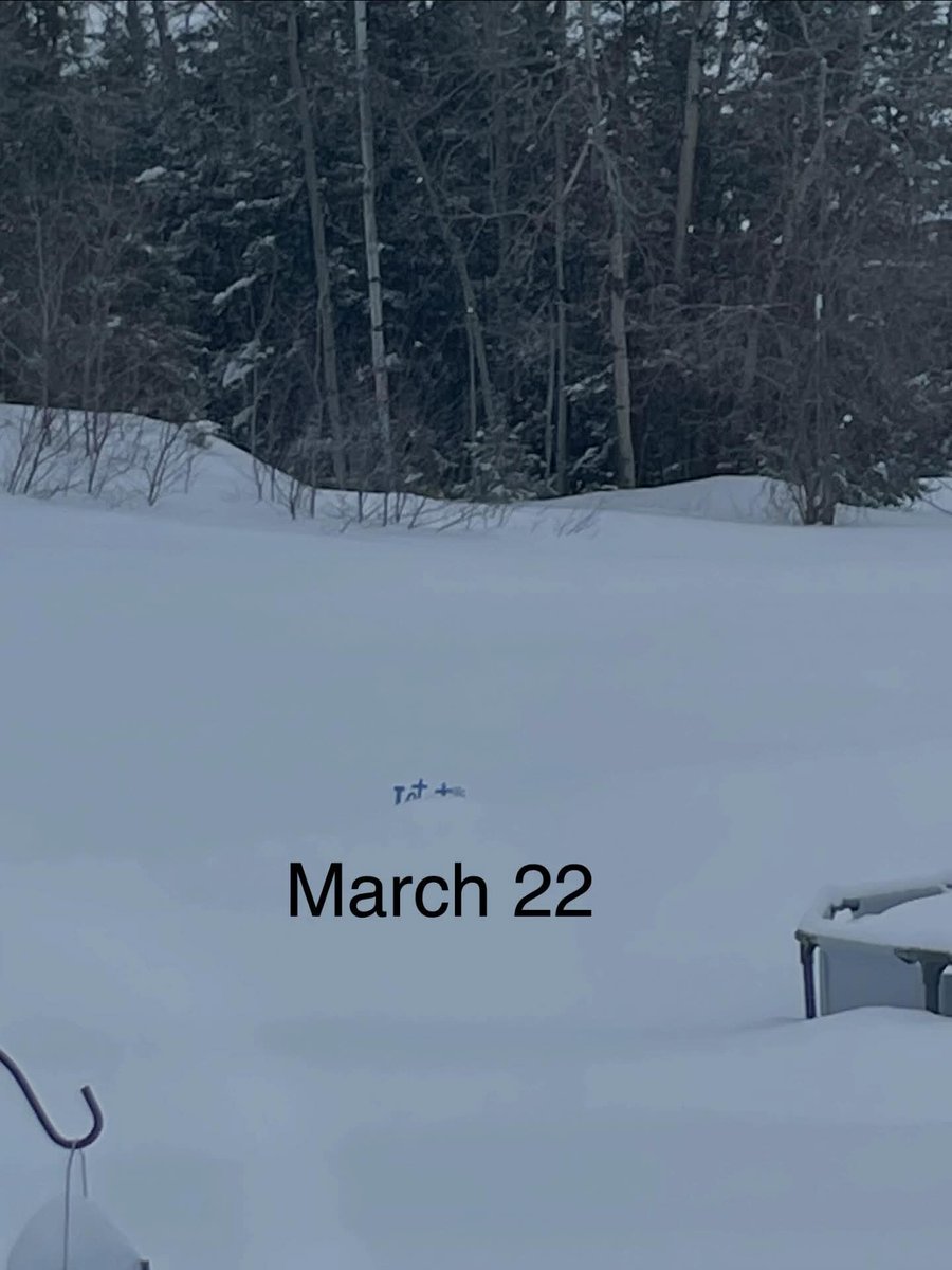 CousineauAlbert's tweet image. In 30 days all that snow should be almost all gone. Stay positive. #snow #winter #Spring2026