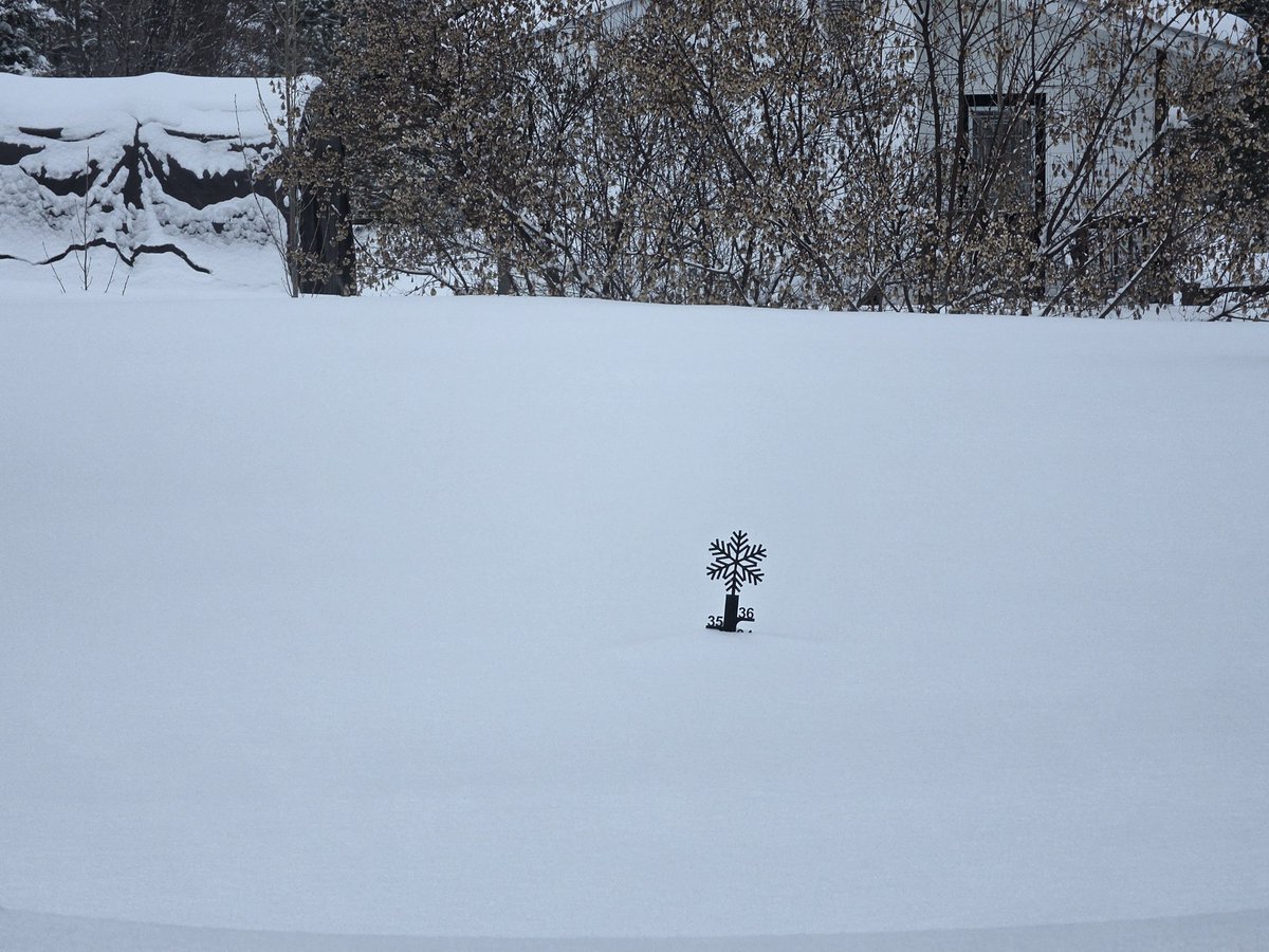 CousineauAlbert's tweet image. In 30 days all that snow should be almost all gone. Stay positive. #snow #winter #Spring2026