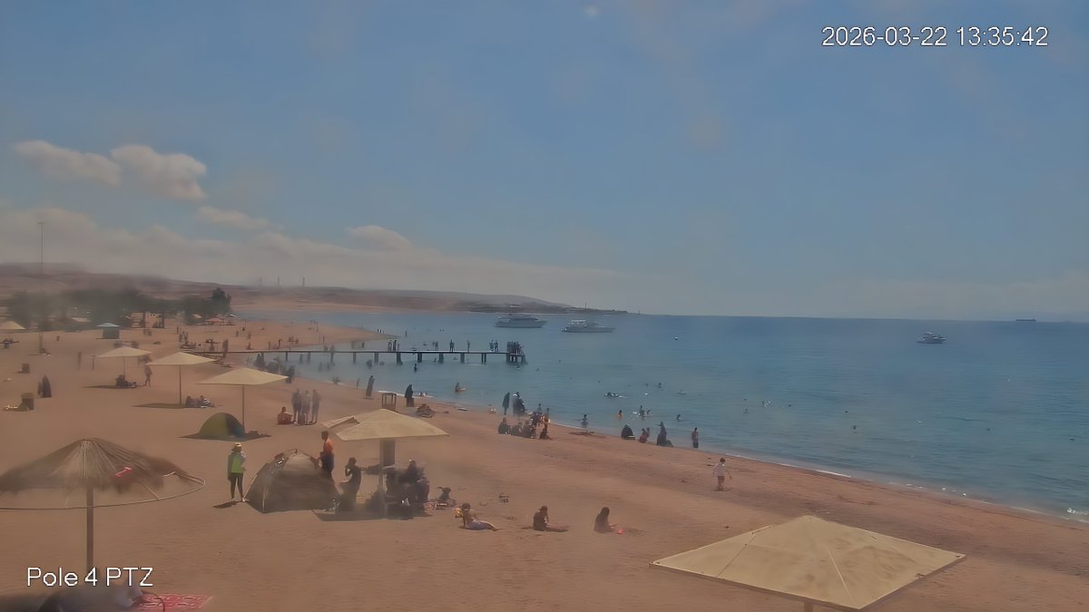Aqaba Marine Reserve محمية العقبة البحرية tweet media