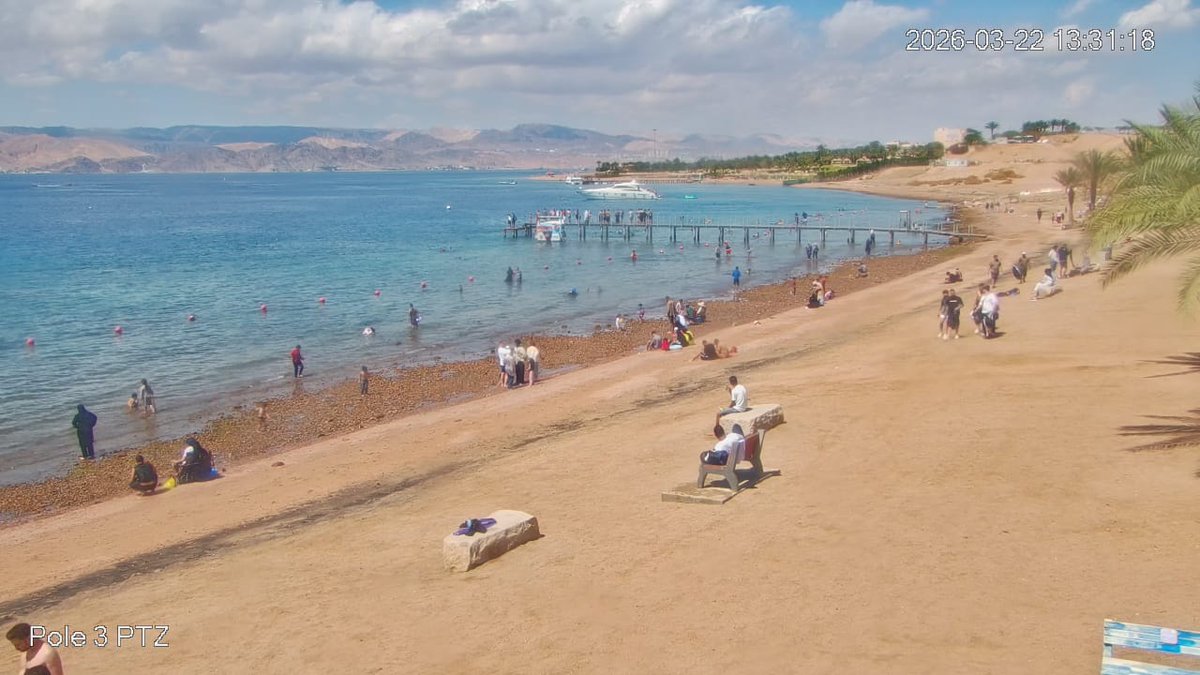 Aqaba Marine Reserve محمية العقبة البحرية tweet media