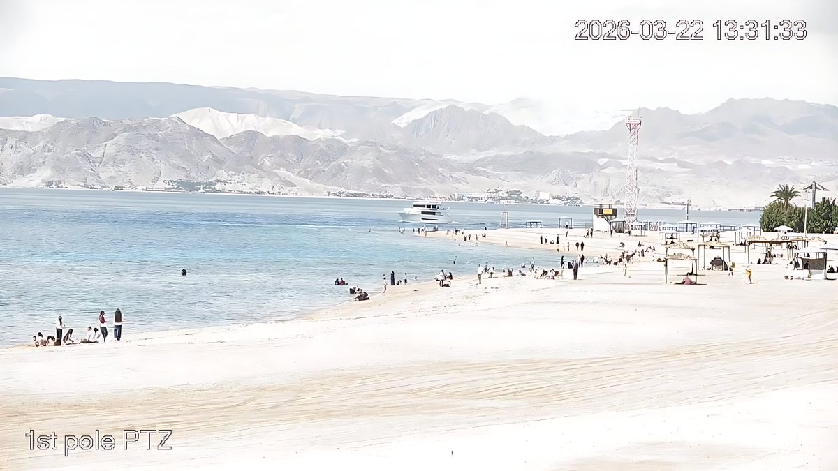 Aqaba Marine Reserve محمية العقبة البحرية tweet media