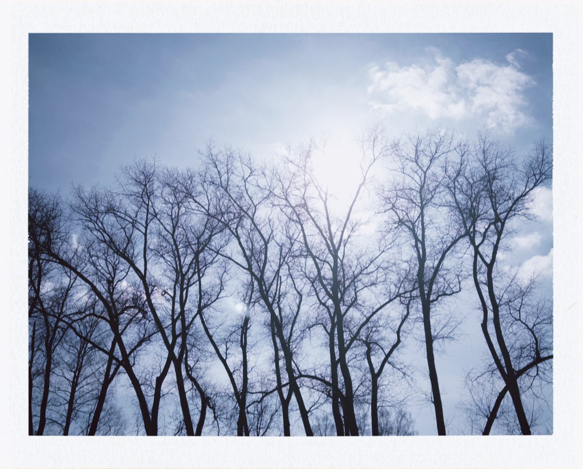 кристосище tweet media