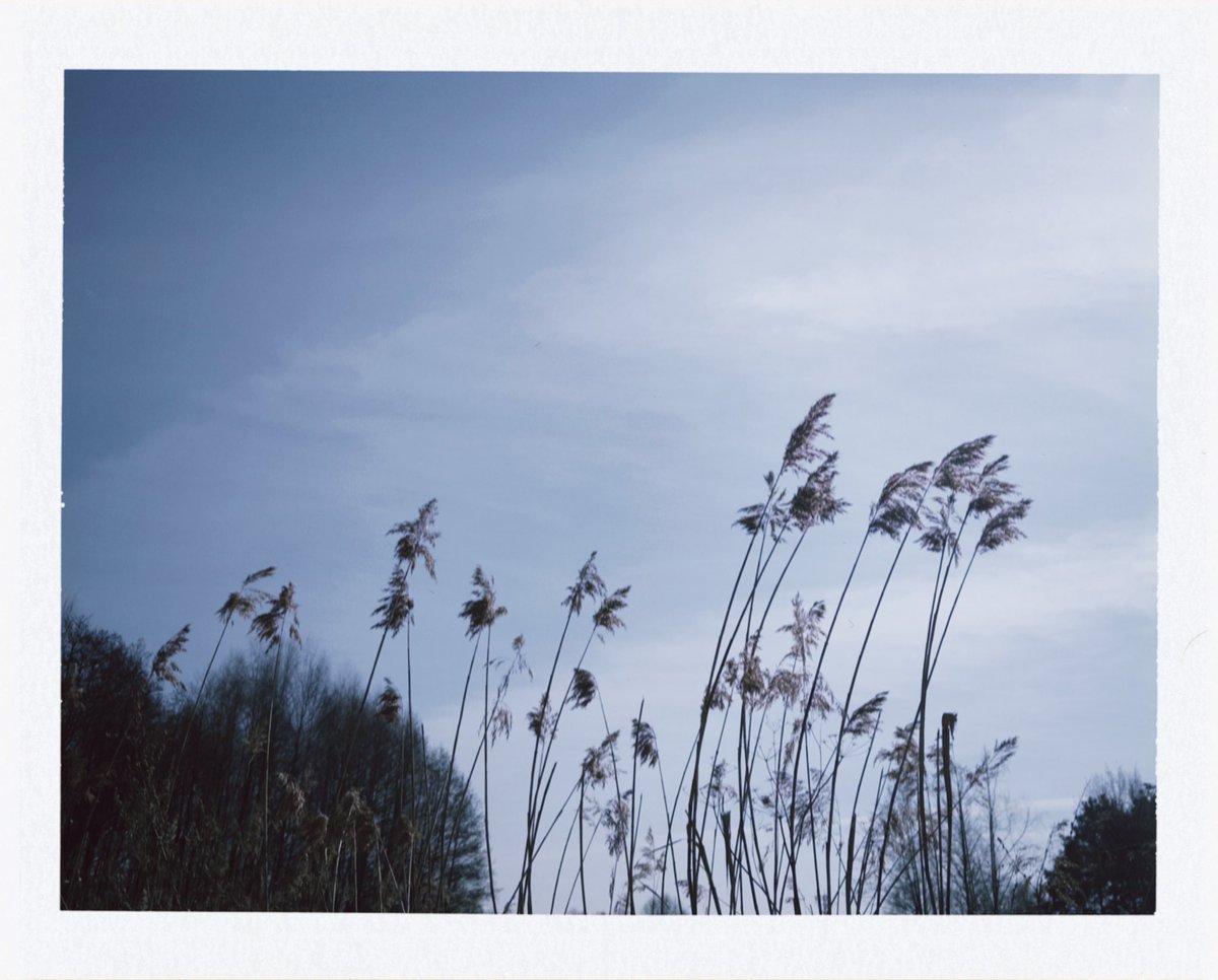 кристосище tweet media