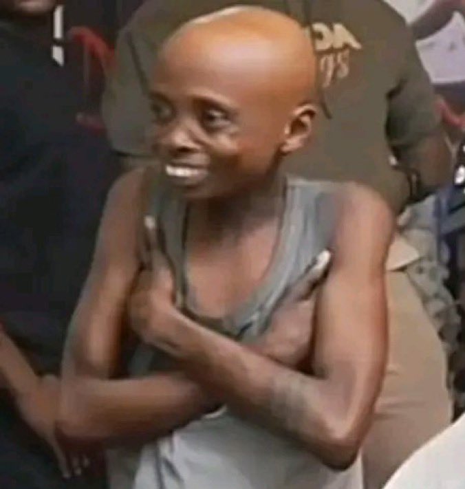 DAZ Intelligence tweet media