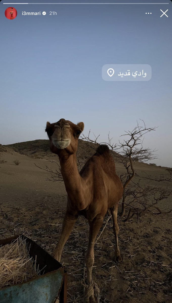 مشـعل النخبوي 👑🌍 tweet media