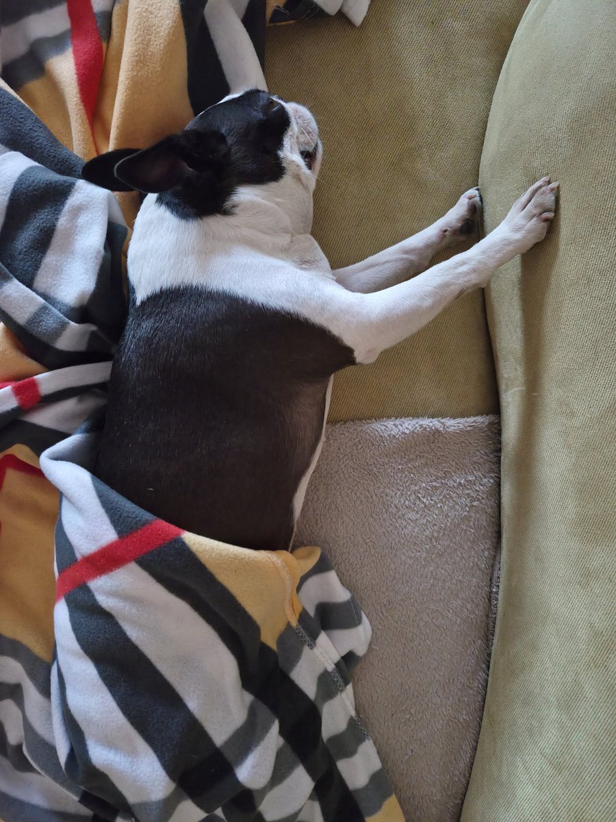 піца з ананасами tweet media