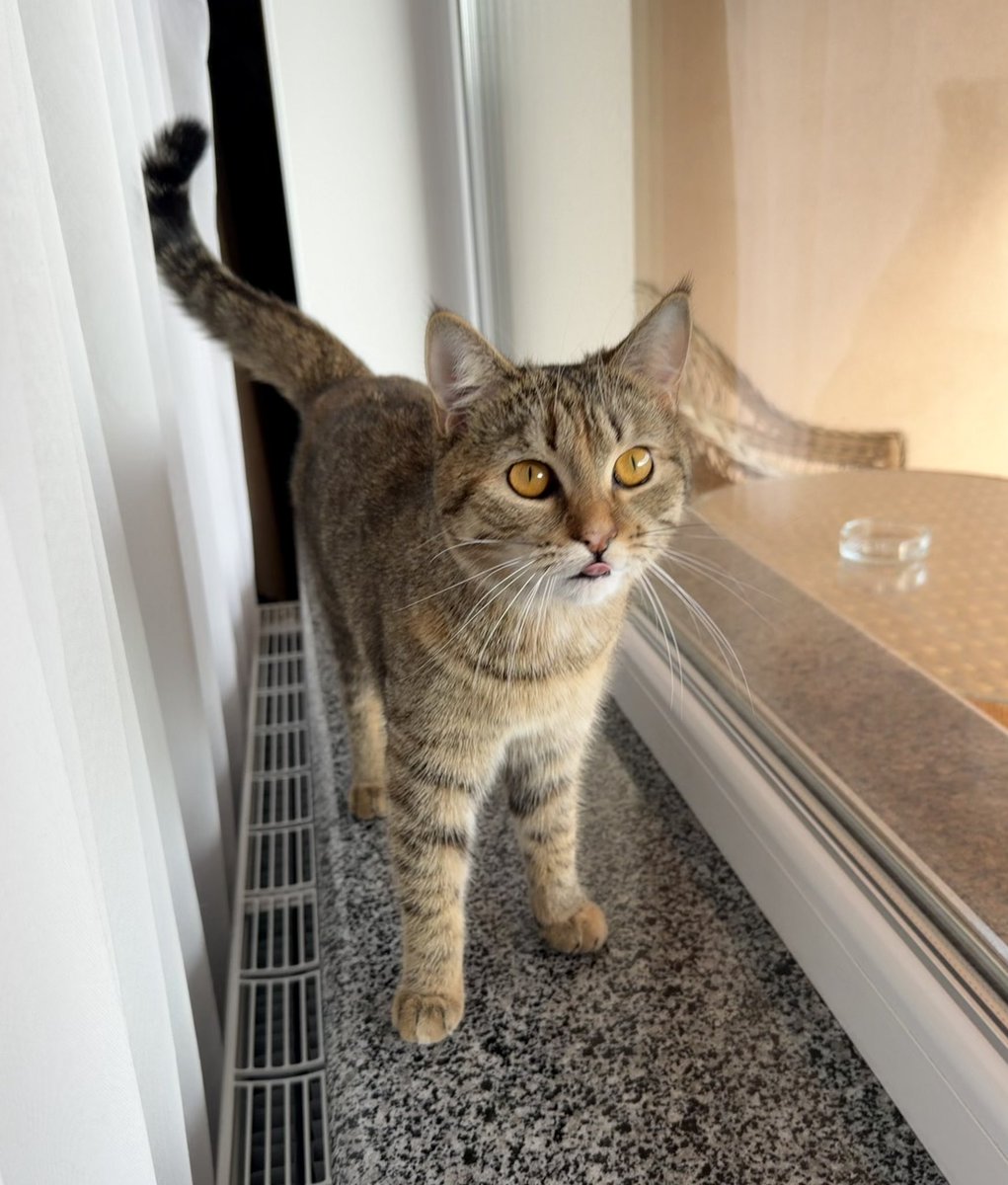 IM_Maryna tweet media