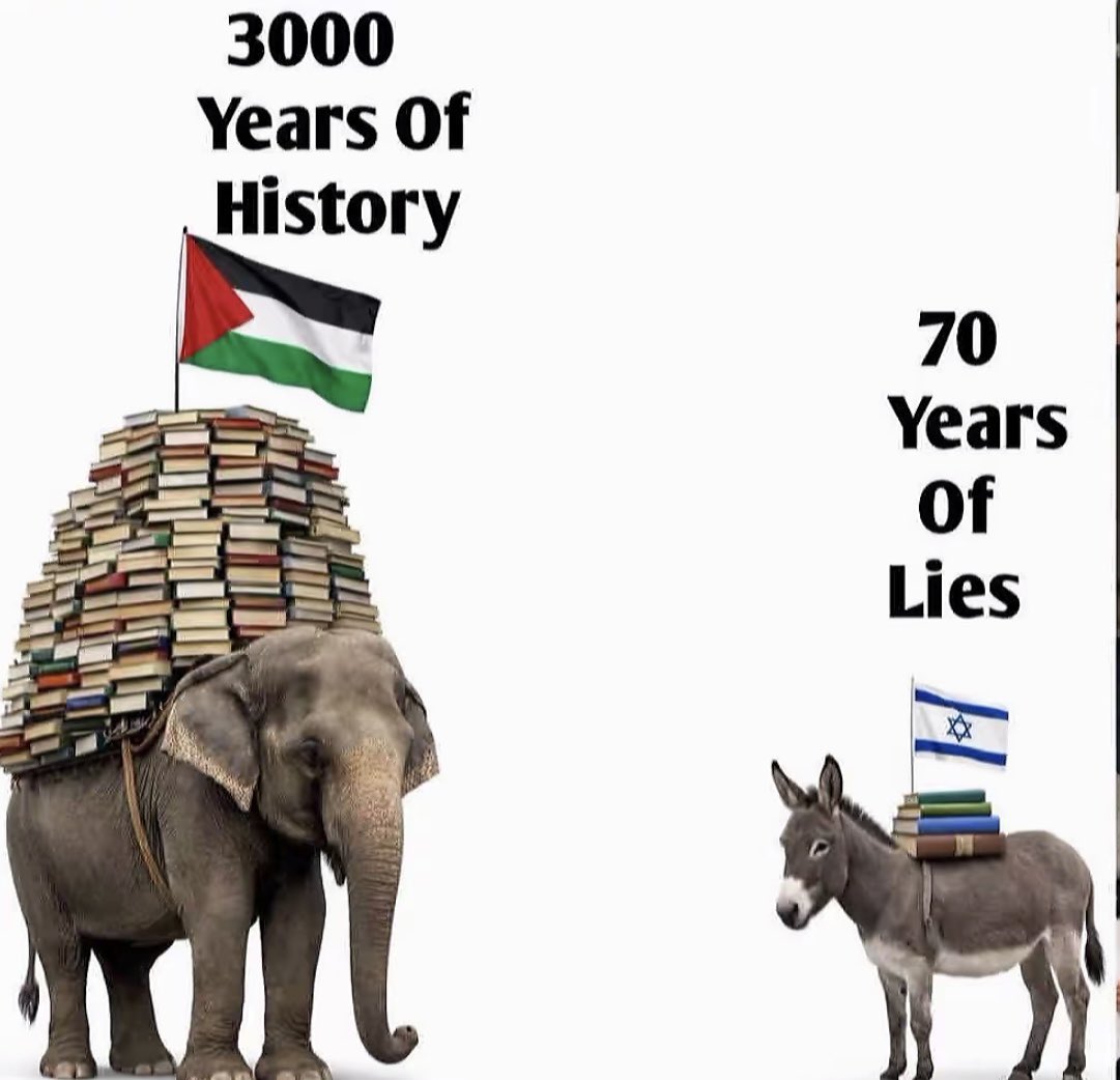 Peter Eisenga ๐ป tweet media