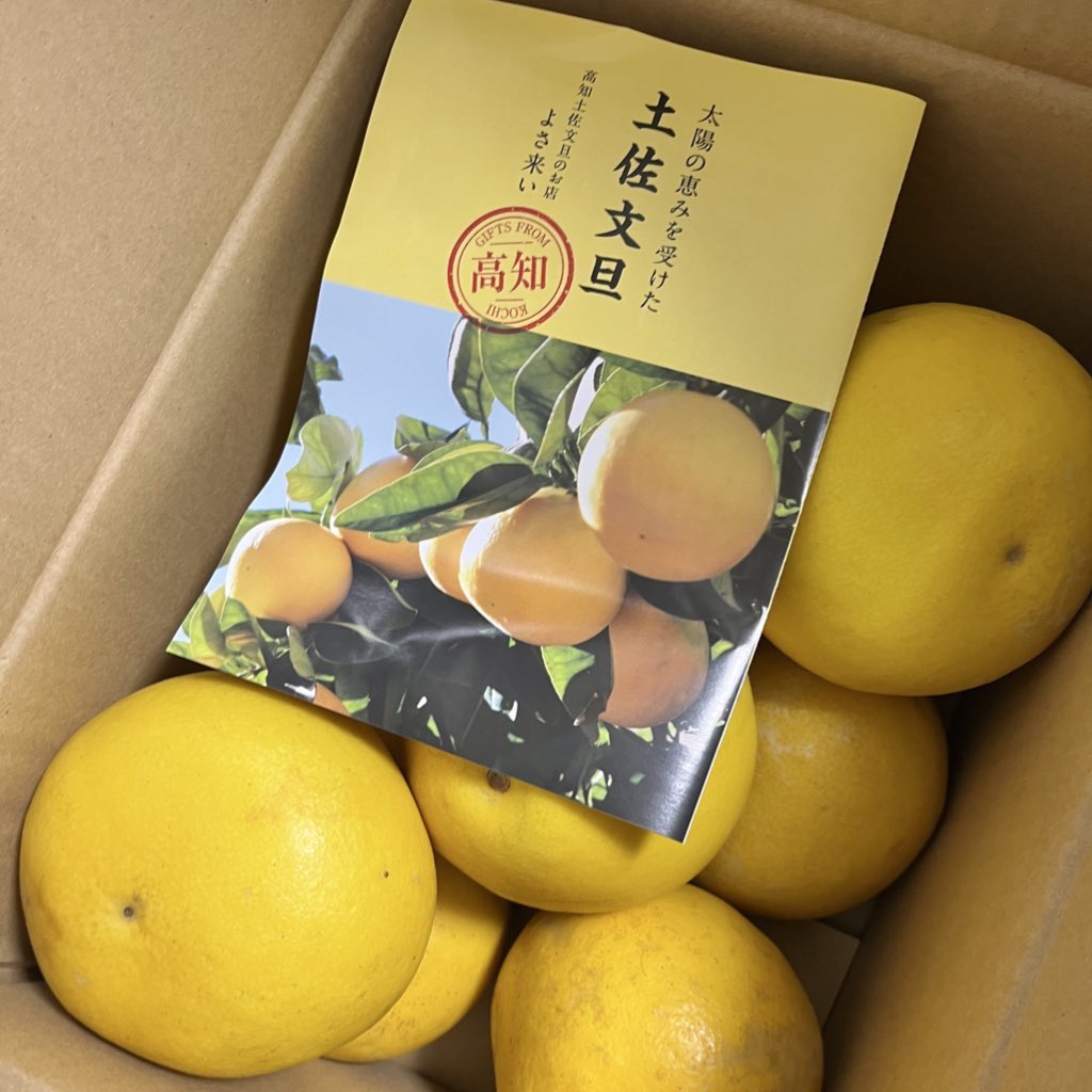 mineSOTA tweet media