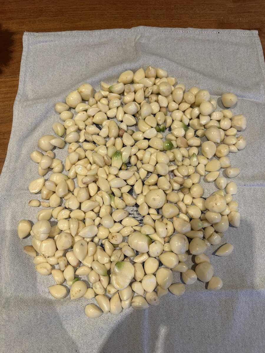 Dries Van Langenhove tweet media