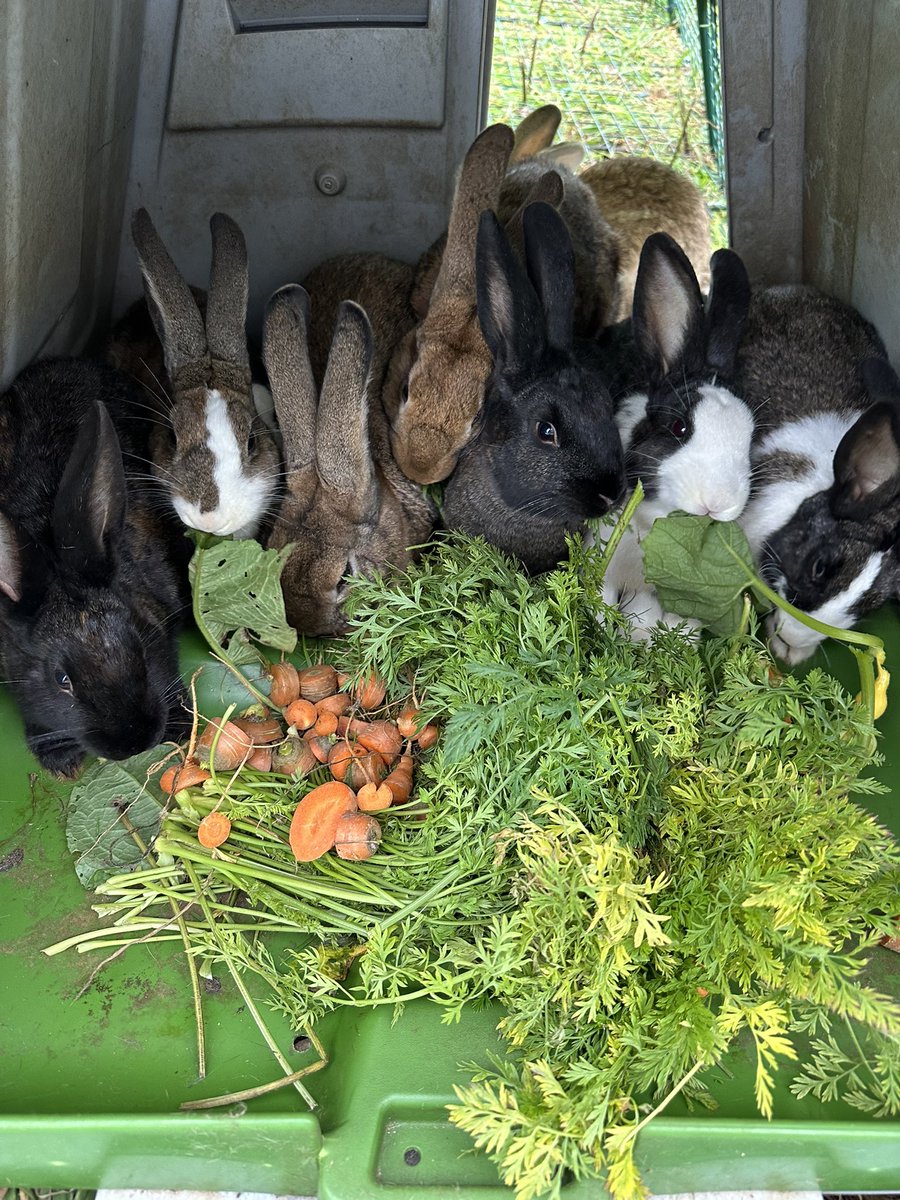 Dries Van Langenhove tweet media