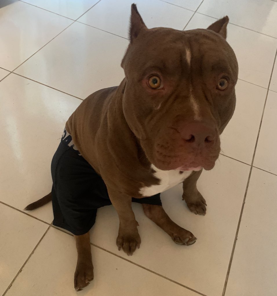 math ★ HADES tweet media