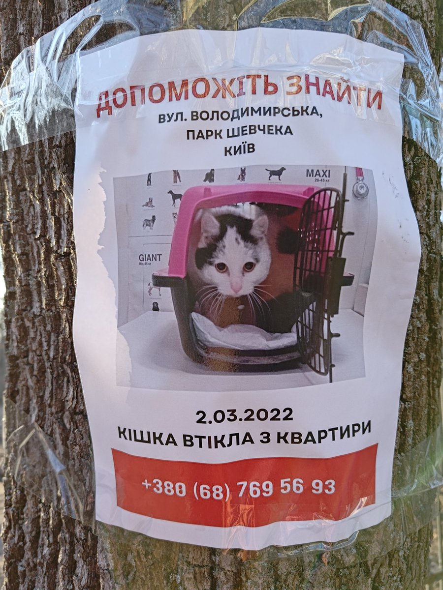 Agent Miller👁️‍🗨️ tweet media