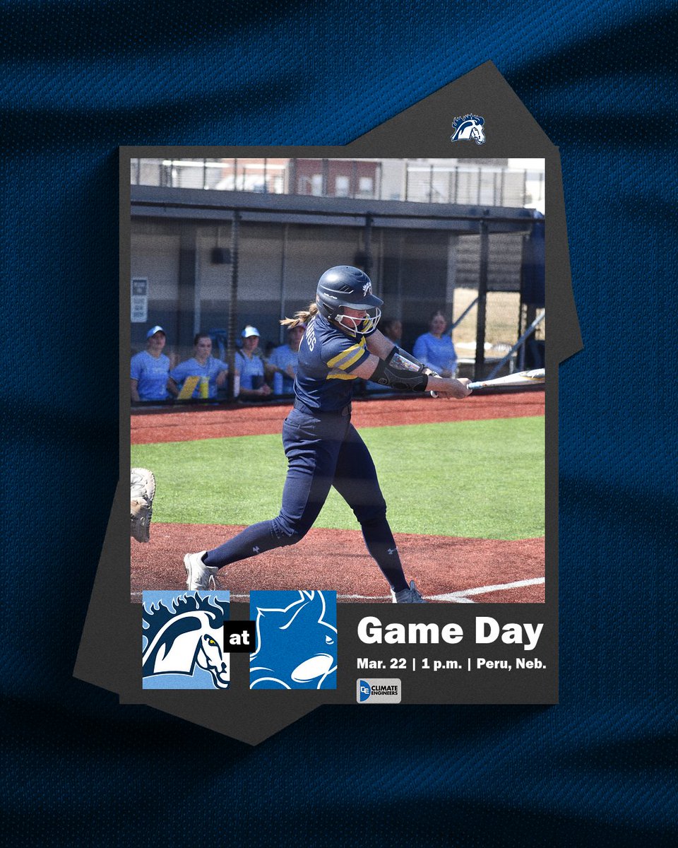 Mount Mercy Mustangs tweet media