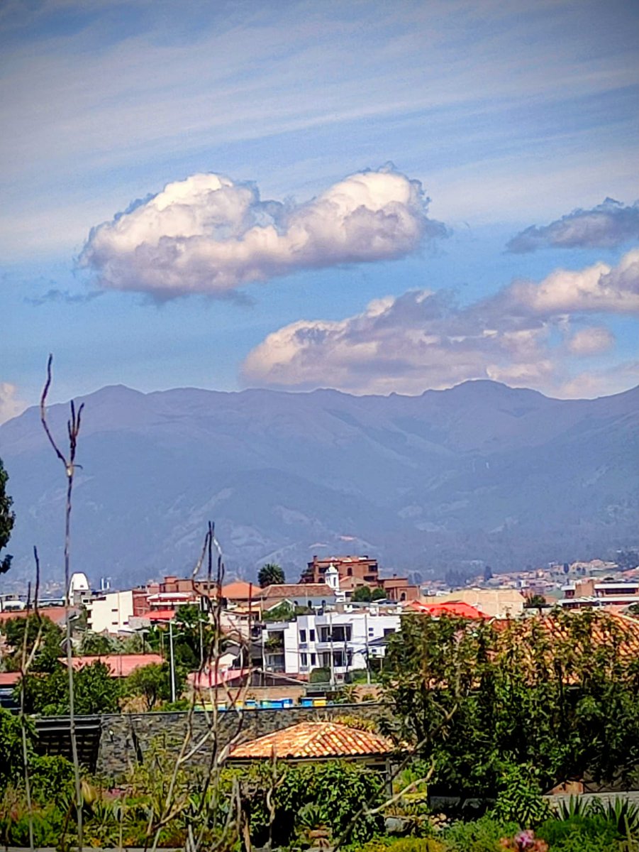 C𝕏Post tweet media