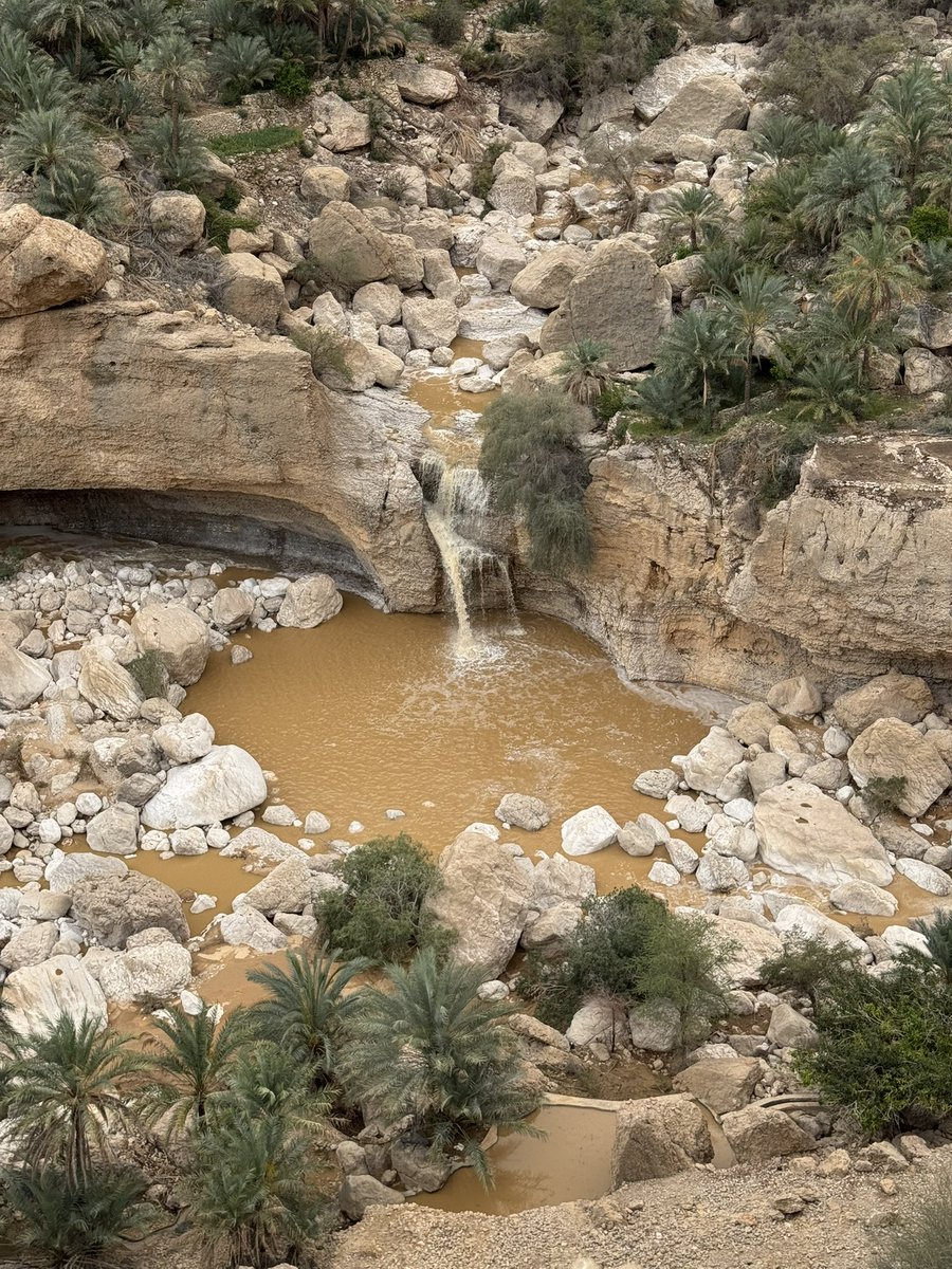 YOUNIS AL_RUBKHI tweet media