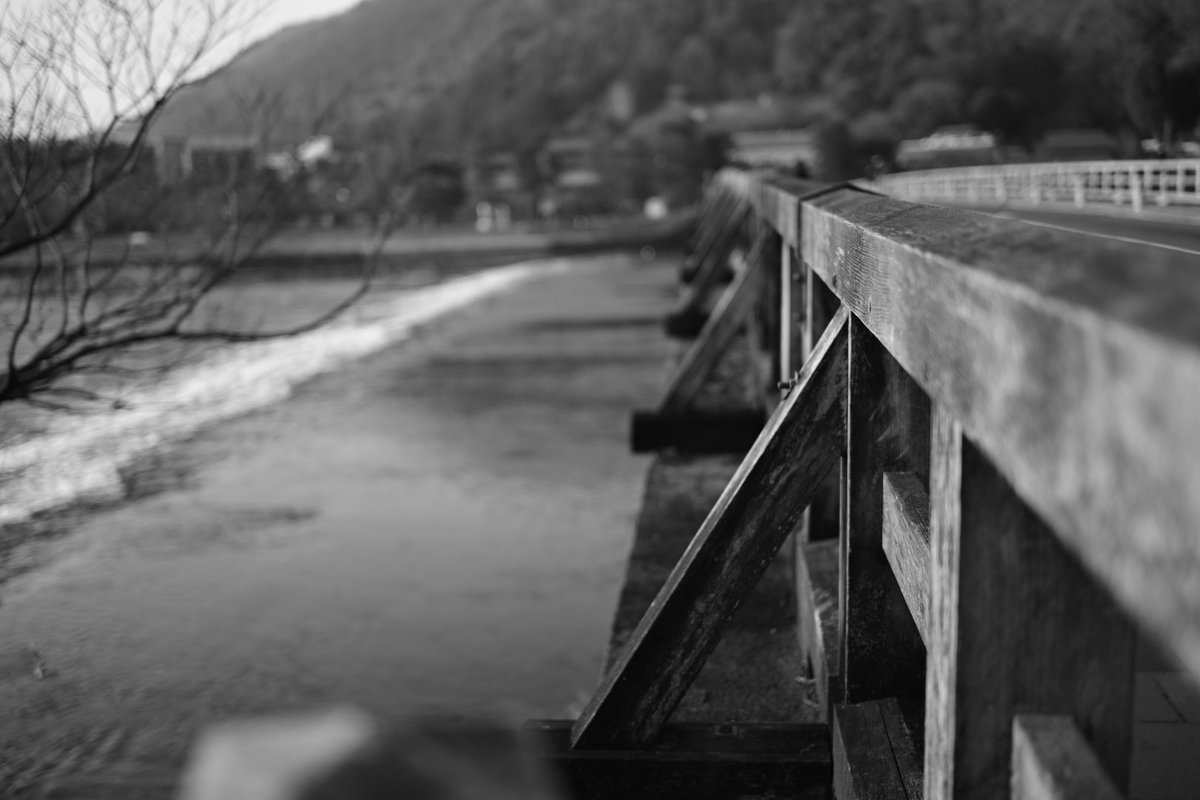 しんくん@ぬこ飯店 tweet media