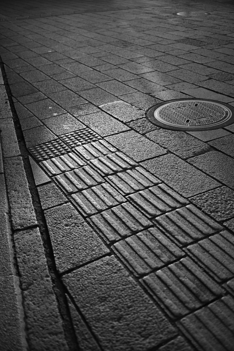 しんくん@ぬこ飯店 tweet media