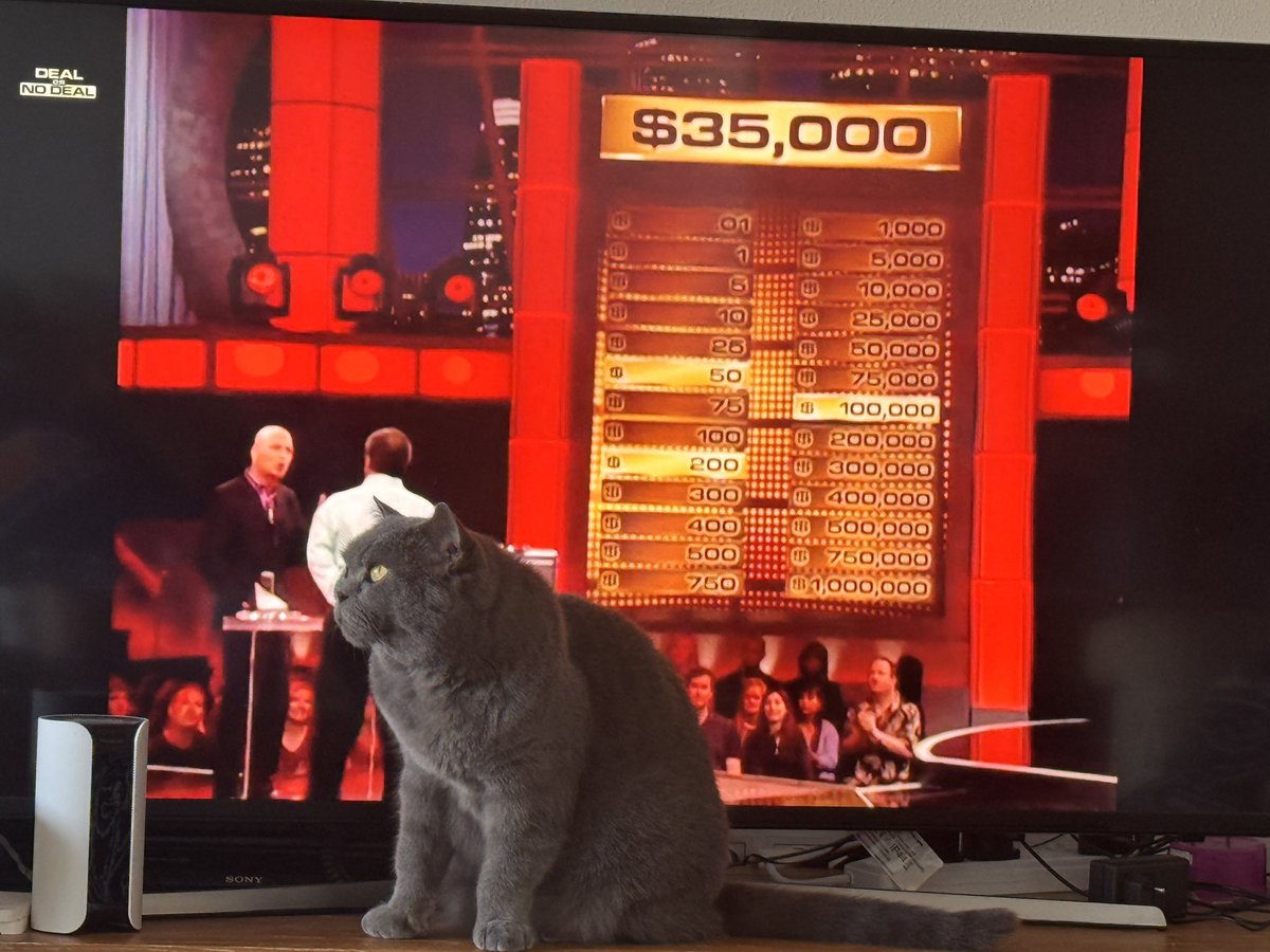 Dolly and Tali tweet media