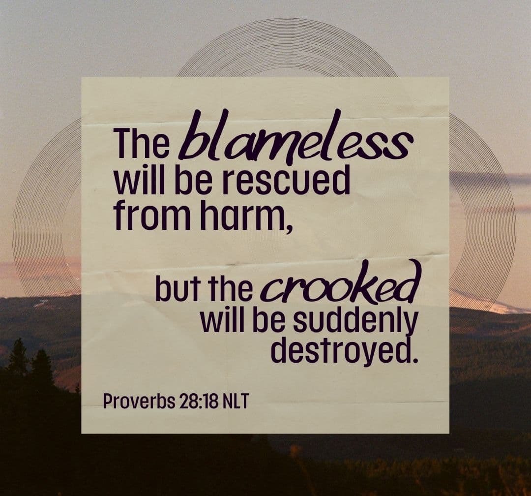 Susan Borg tweet media