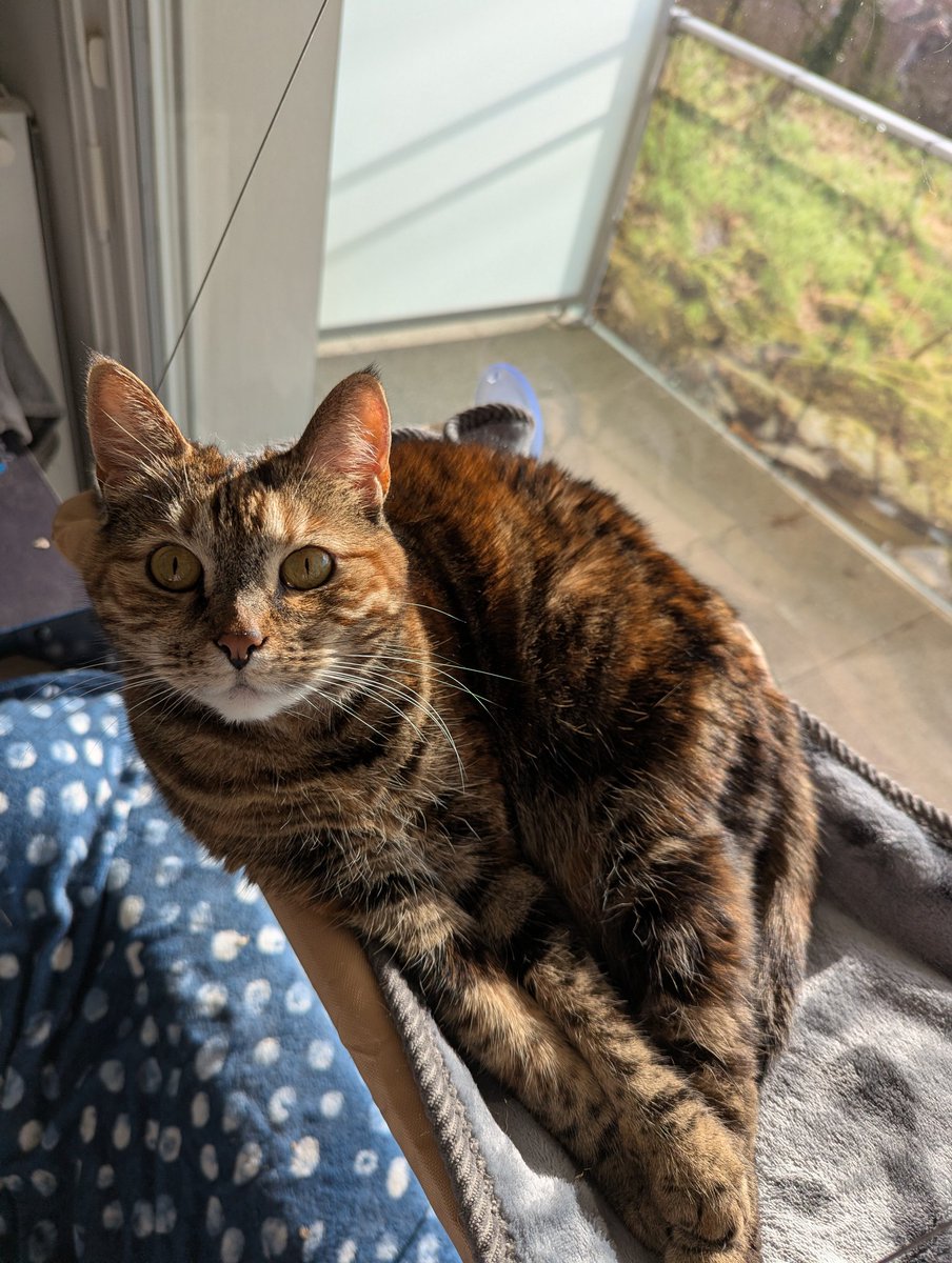 simplement_julien tweet media