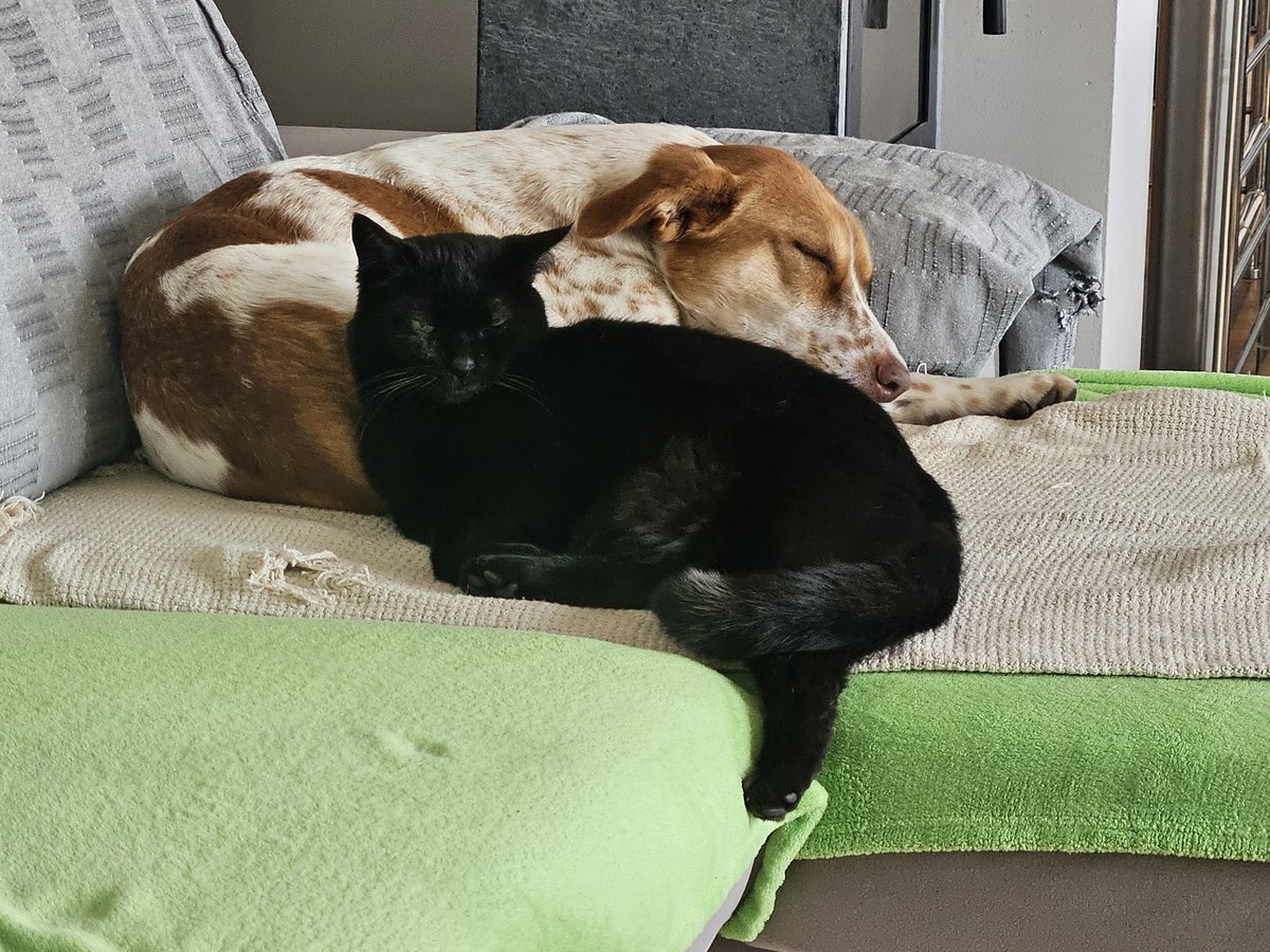 Bernarda tweet media