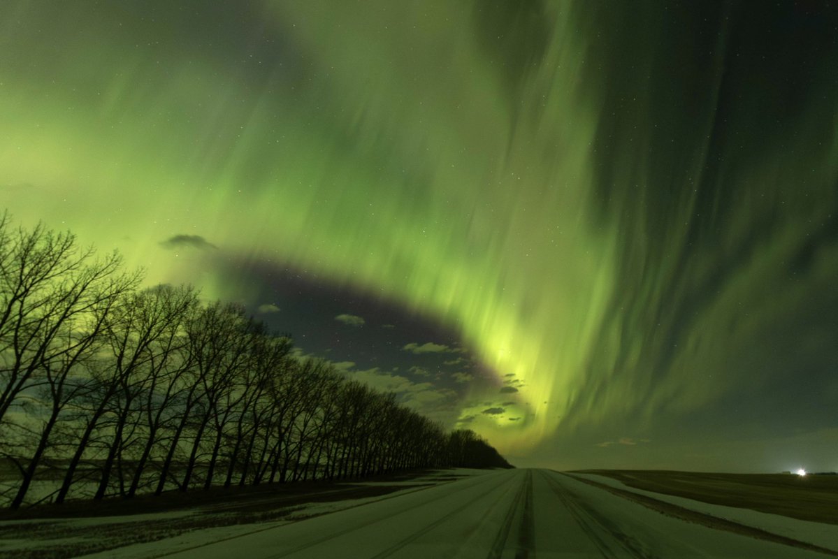 Dar Tanner tweet media