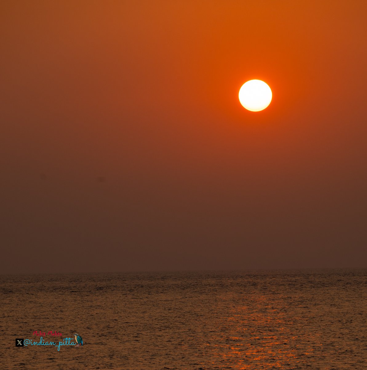 Mohit Mehta tweet media