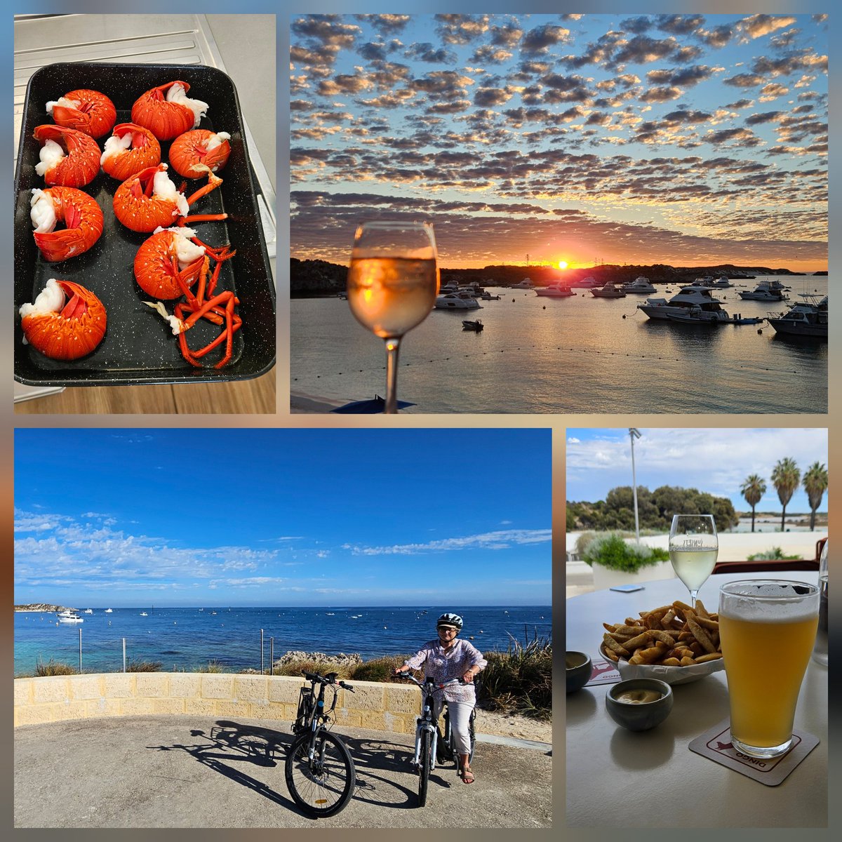 Paul Carmody tweet media