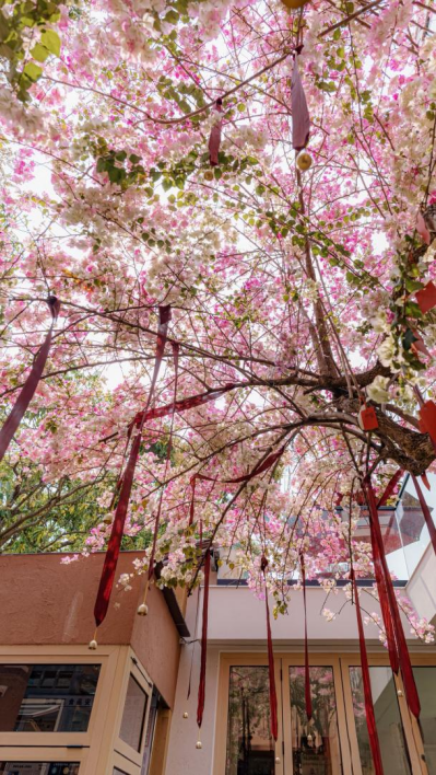 Amazing Puer tweet media