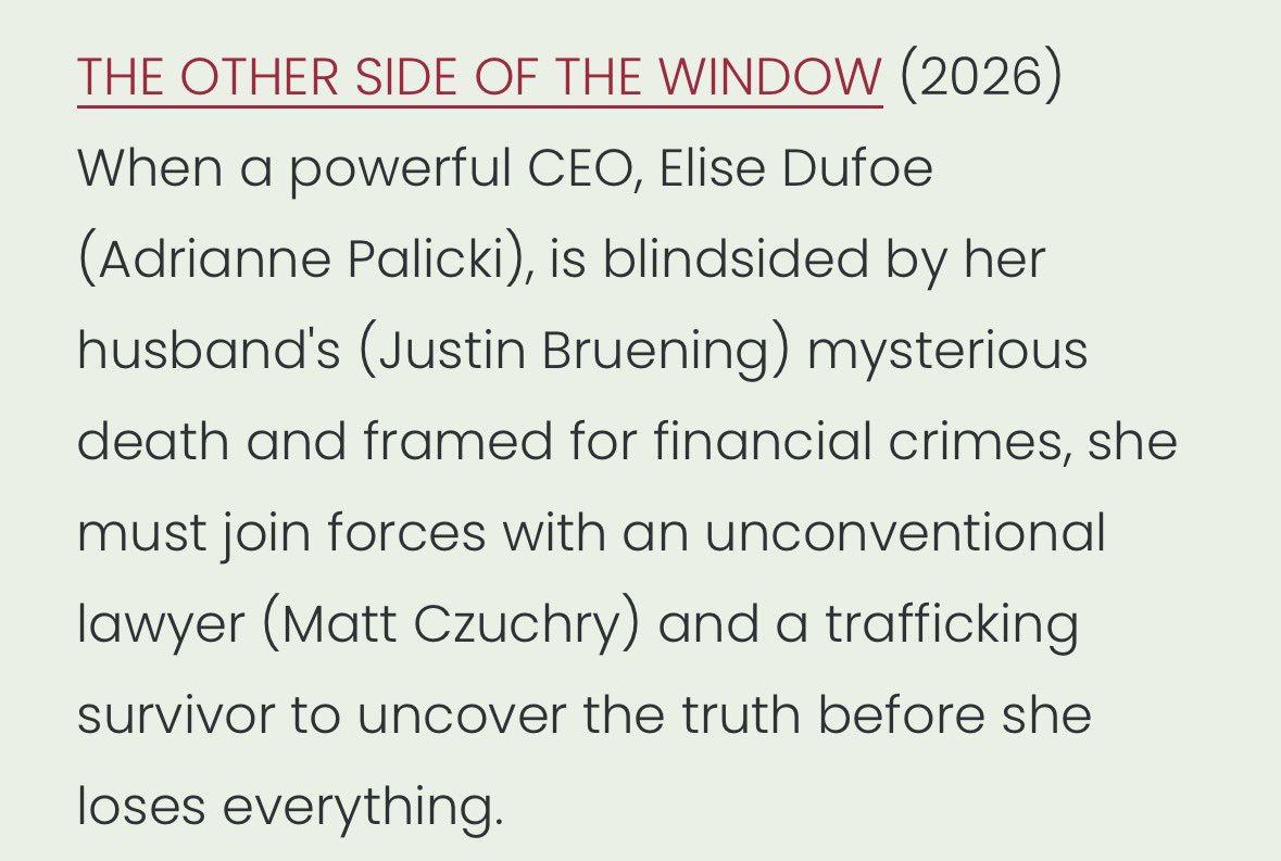 Update: "The other side of the Window“ is set to be released in 2026. 

New synopsis: