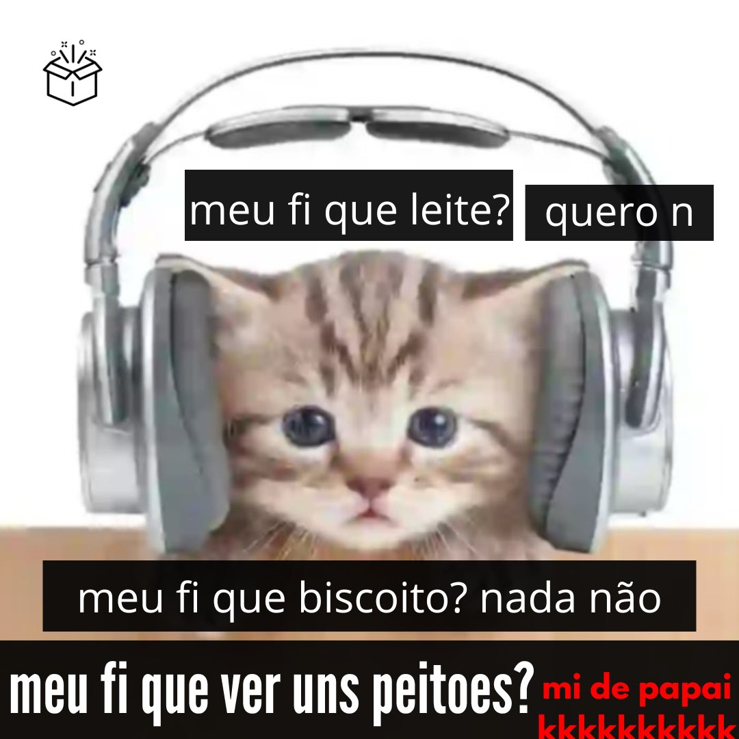 perfil dedicado a gatinhos e peitos tweet media