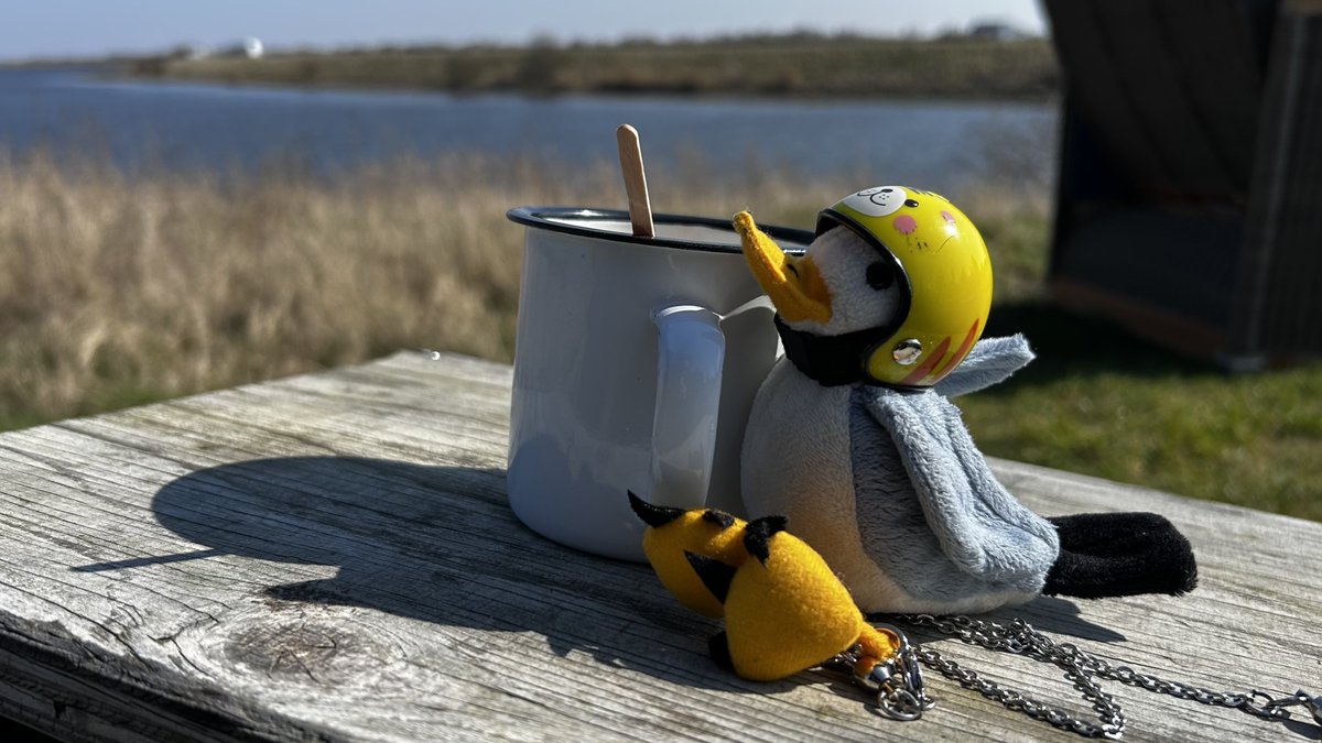 MonaMöwe, die Plüschbande🐪🐑🦀🐑und Gäste tweet media