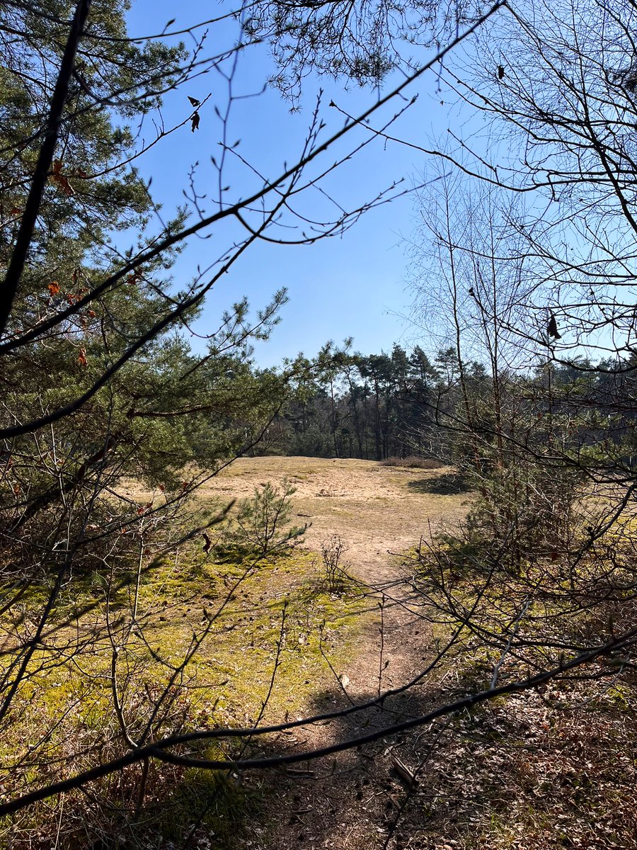 Fusselprinzessin tweet media