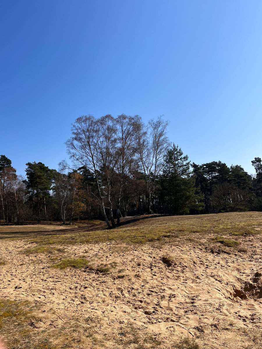 Fusselprinzessin tweet media