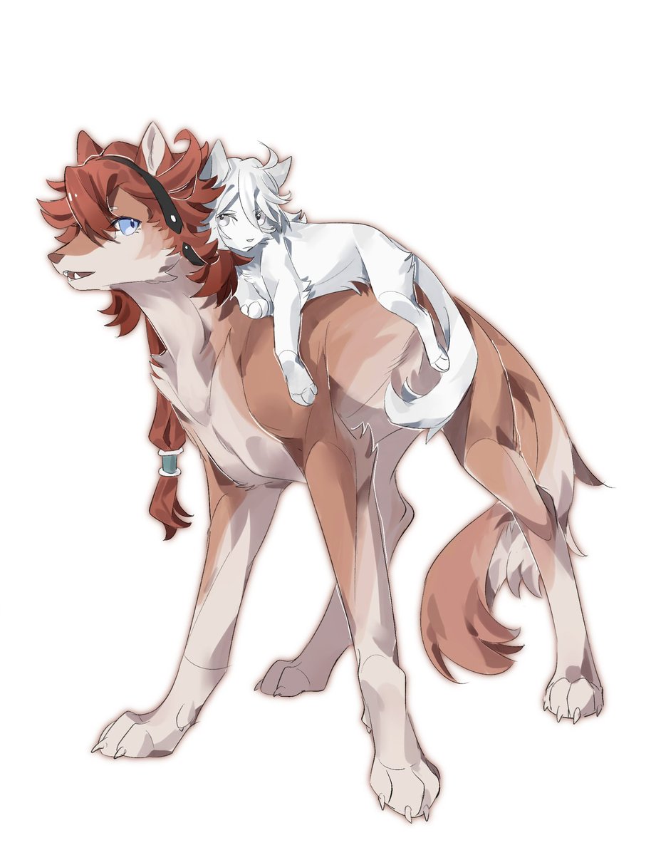 雨凡凡凡凡凡凡 tweet media