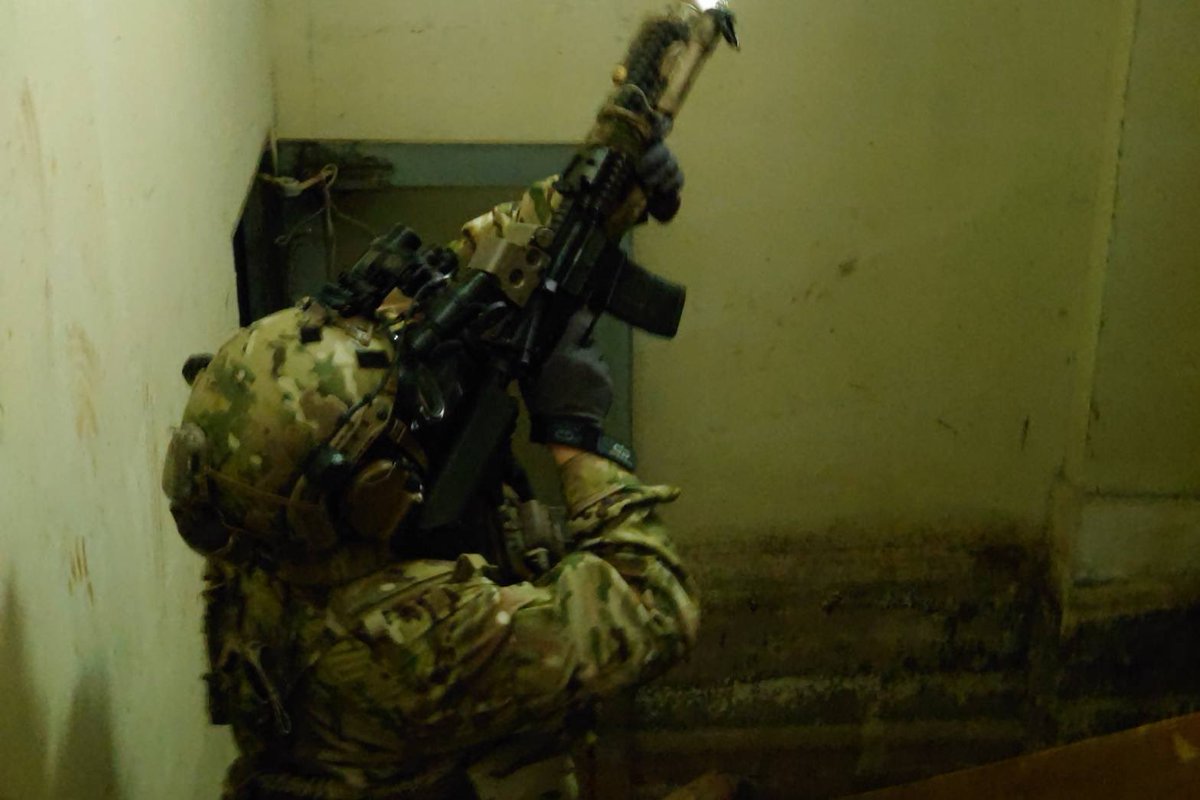 Shuga-to tweet media