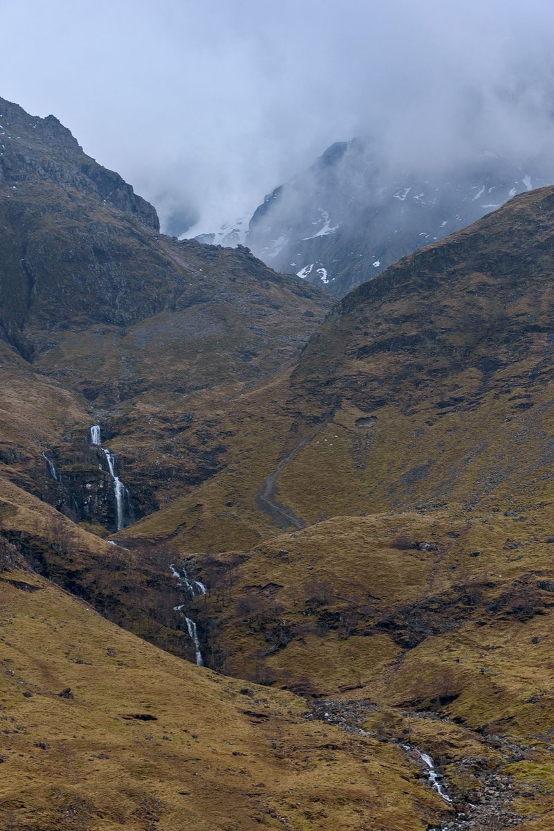 YorkshireLass tweet media