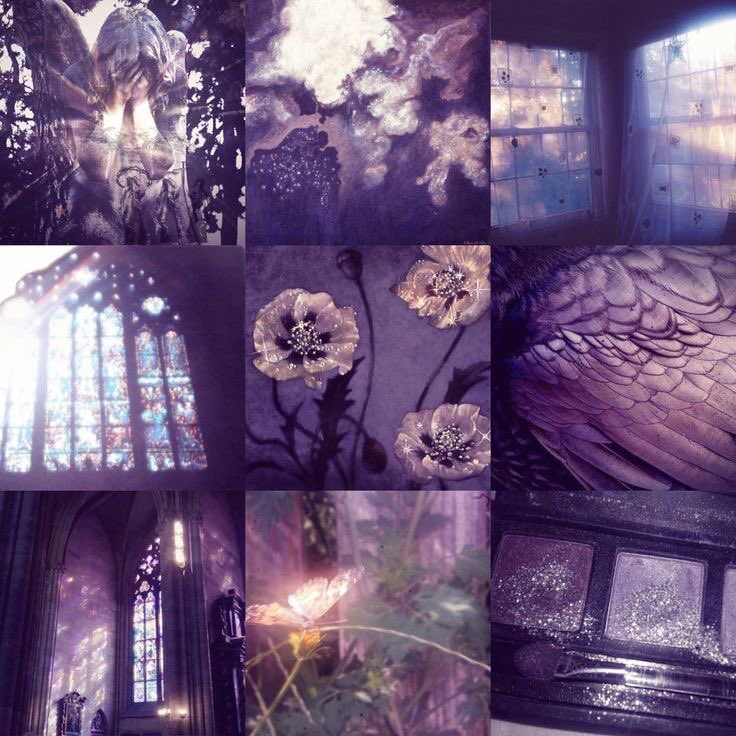 violet✧*｡ tweet media