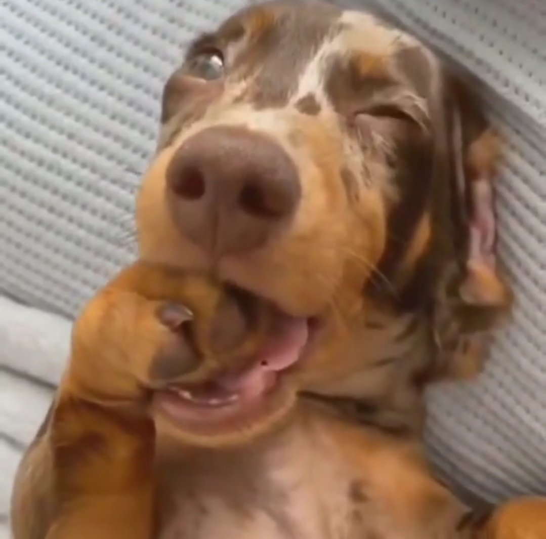 Larizinha★彡⁶³ tweet media