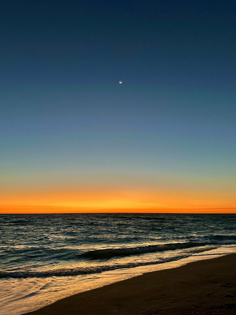 Mira🌺 tweet media